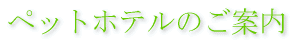 ybgzêē